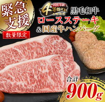 【ふるさと納税】≪緊急支援≫数量限定!!4等級以上★黒毛和牛ロースステーキ&国産牛ハンバーグ(合計900g)