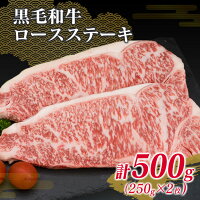 【ふるさと納税】≪緊急支援≫数量限定!!4等級以上★黒毛和牛ロースステーキ&国産牛ハンバーグ(合計900g)