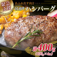 【ふるさと納税】≪緊急支援≫数量限定!!4等級以上★黒毛和牛ロースステーキ&国産牛ハンバーグ(合計900g)