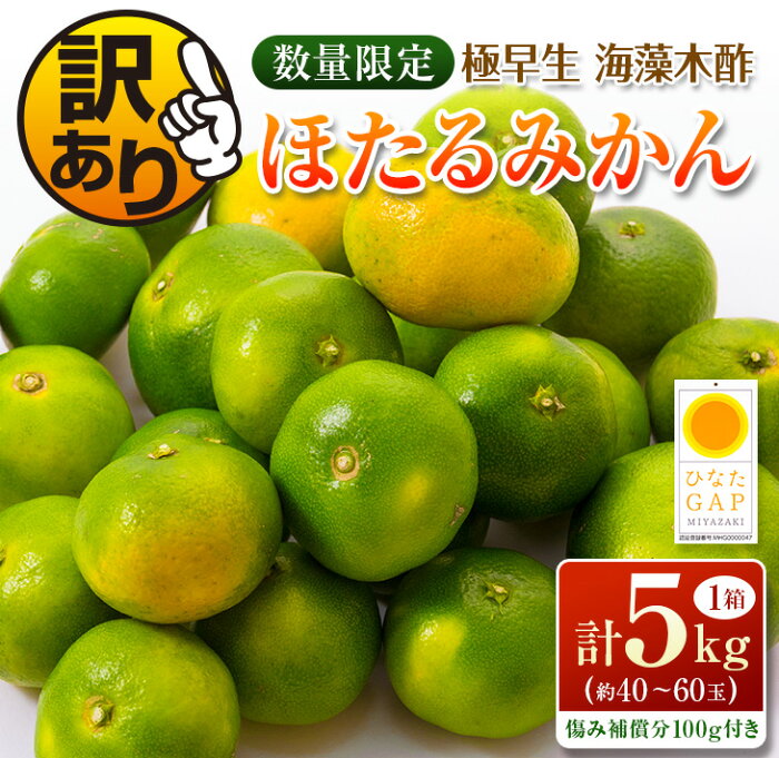 【ふるさと納税】訳あり≪数量限定≫極早生『海藻木酢ほたるみかん』(計5kg)傷み補償分100g付き　フルーツ　果物　柑橘