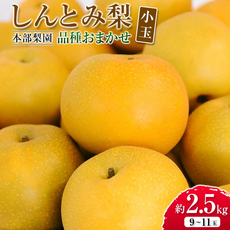 【ふるさと納税】本部梨園の『しんとみ梨』品種おまかせ 小玉 合計2.5kgのサムネイル