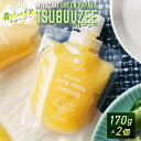 【ふるさと納税】青パパイアスムージー 2個入 MIYAZAKI GREEN PAPAYA TSUBUUZEE 〜青パパイアの粒々とフレッシュな柑橘の味わい〜[お...
