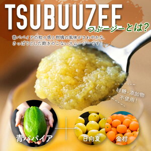 【ふるさと納税】青パパイアスムージー 2個入 MIYAZAKI GREEN PAPAYA TSUBUUZEE ～青パパイアの粒々とフレッシュな柑橘の味わい～［お試し版］