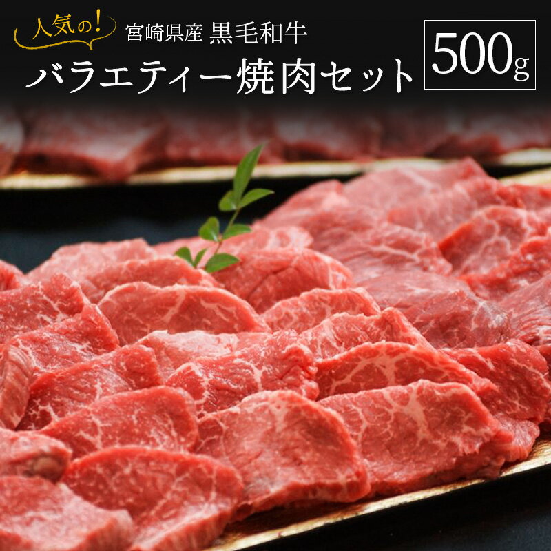 人気の宮崎県産黒毛和牛バラエティー焼肉セット 500g