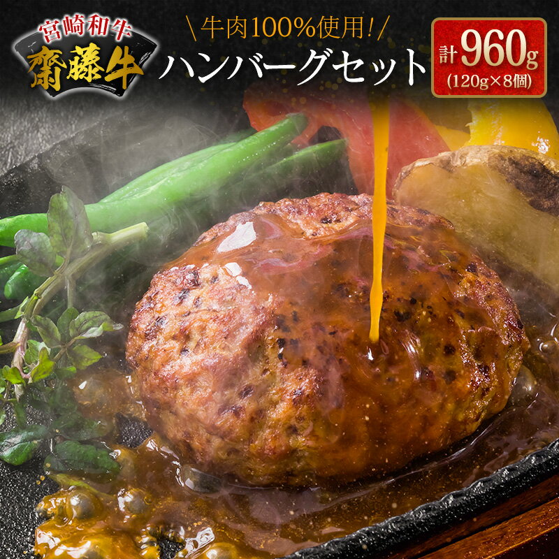 宮崎和牛『齋藤牛』ハンバーグセット 計960g(120g×8個) 牛肉100%使用!