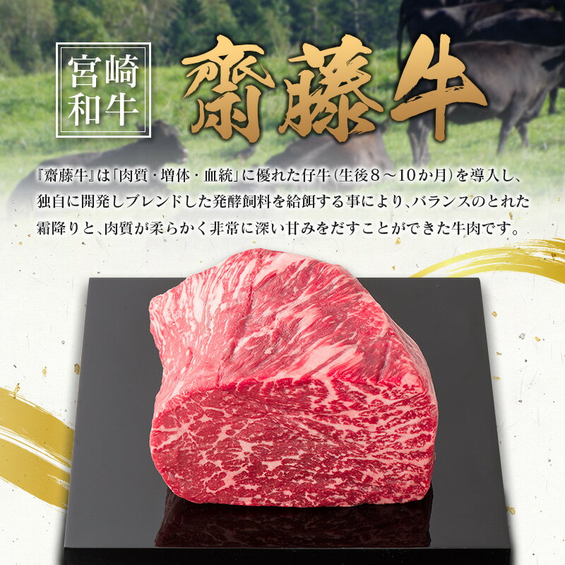 【ふるさと納税】宮崎和牛『齋藤牛』ハンバーグセット 計960g(120g×8個) 牛肉100％使用！