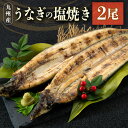 うなぎの塩焼き 2尾 合計320g以上 九州産