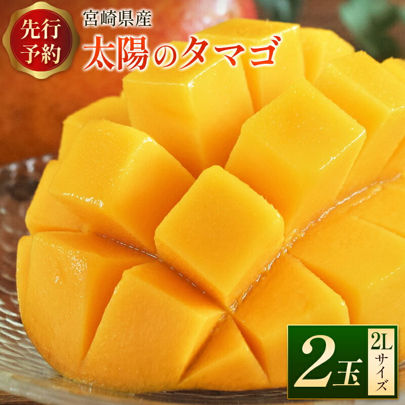 [先行予約]宮崎県産 「太陽のタマゴ」2Lサイズ 2玉 完熟マンゴー