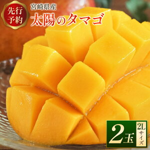【ふるさと納税】宮崎県産 「太陽のタマゴ」2Lサイズ 2玉 完熟マンゴー