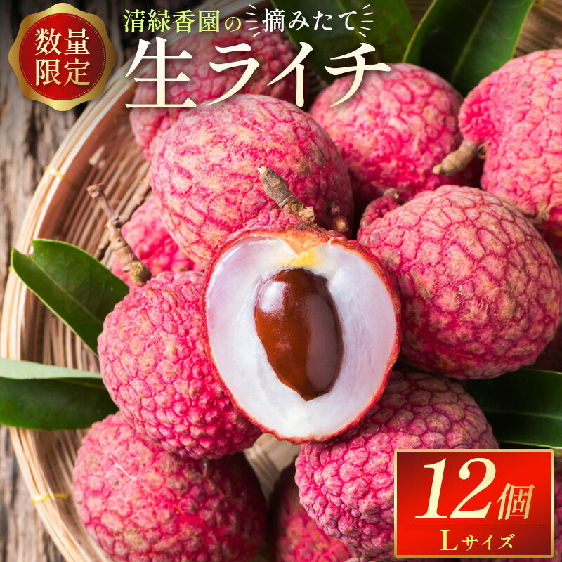 【ふるさと納税】『期間限定』『数量限定』清緑香園の摘みたて「生ライチ」12個 宮崎県産のサムネイル