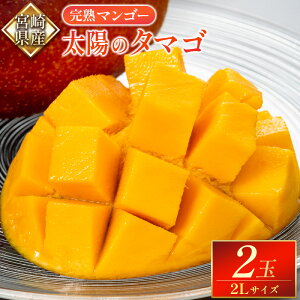【ふるさと納税】宮崎県産 完熟マンゴー『太陽のタマゴ』2Lサイズ2玉