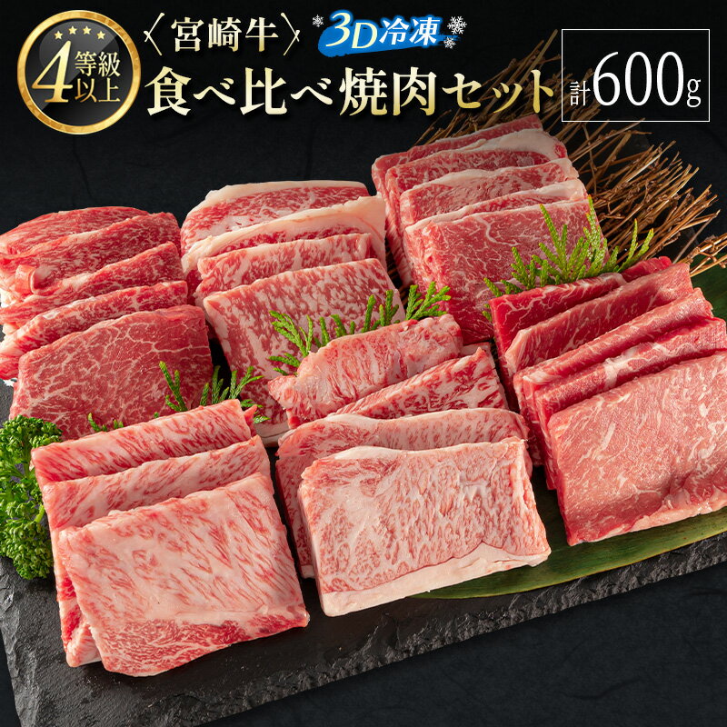 ＜3D冷凍＞宮崎牛食べ比べ焼肉セット(100g×6種類) 4等級 A4ランク 牛肉 ブランド ※90日以内に発送