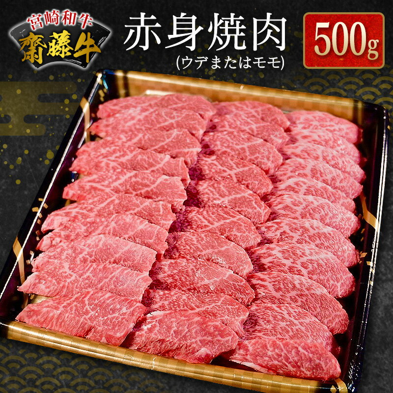 宮崎和牛『齋藤牛』赤身焼肉 500g