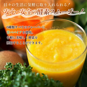 【ふるさと納税】「定期便12か月コース」南国酵素スムージー 200ml×12本セット×12回 野菜・果実ミックスジュース 青パパイア 果物 フルーツ 飲料 健康 栄養