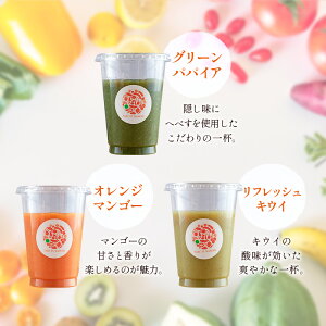 【ふるさと納税】「定期便12か月コース」南国酵素スムージー 200ml×12本セット×12回 野菜・果実ミックスジュース 青パパイア 果物 フルーツ 飲料 健康 栄養