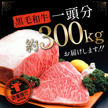 【ふるさと納税】数量限定 超プレミアム企画『まるごと黒毛和牛一頭』お届け!! 合計約300kg