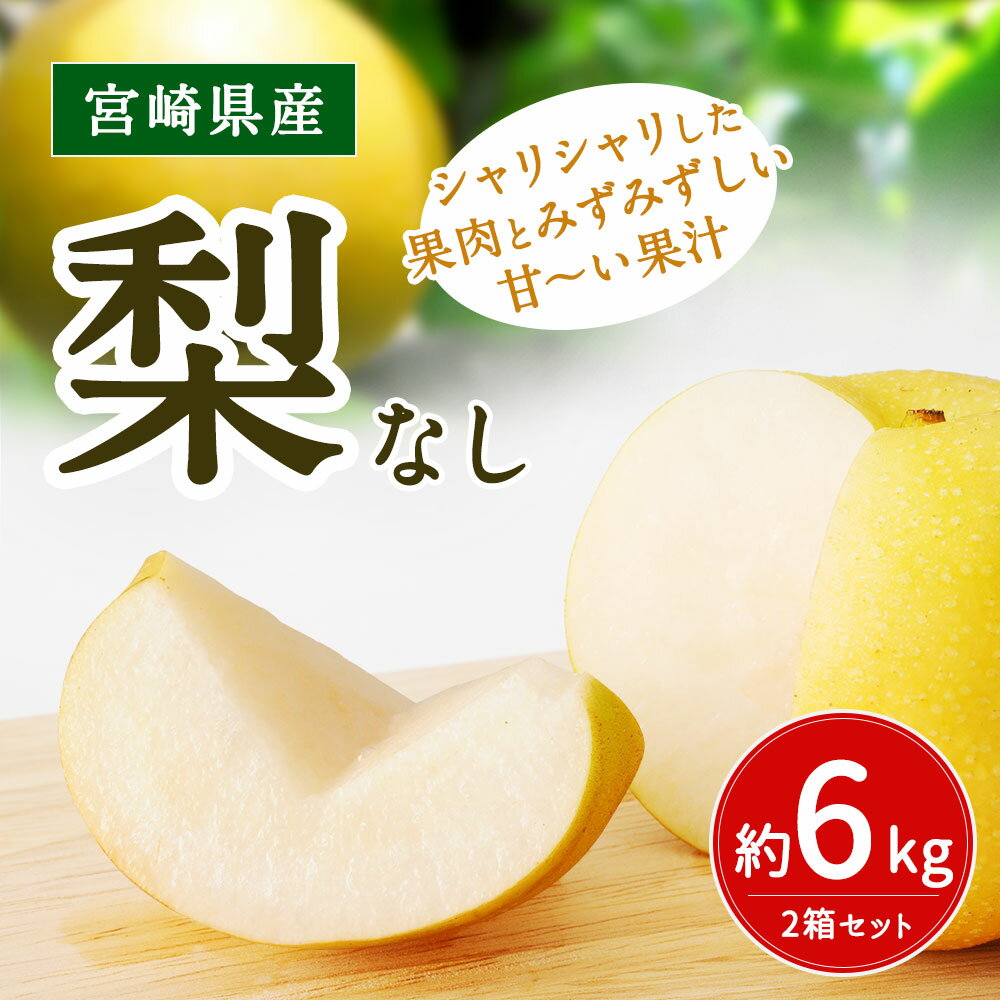 【ふるさと納税】予約受付＜シャリシャリ梨セット 約6kg 宮崎県産 2箱セット＞※2019年7月中旬から8月下旬にかけて出荷予定 なし 本部梨園 送料無料が大人気返礼品になっている理由とは　ふるさと納税　人気　返礼品　ランキング