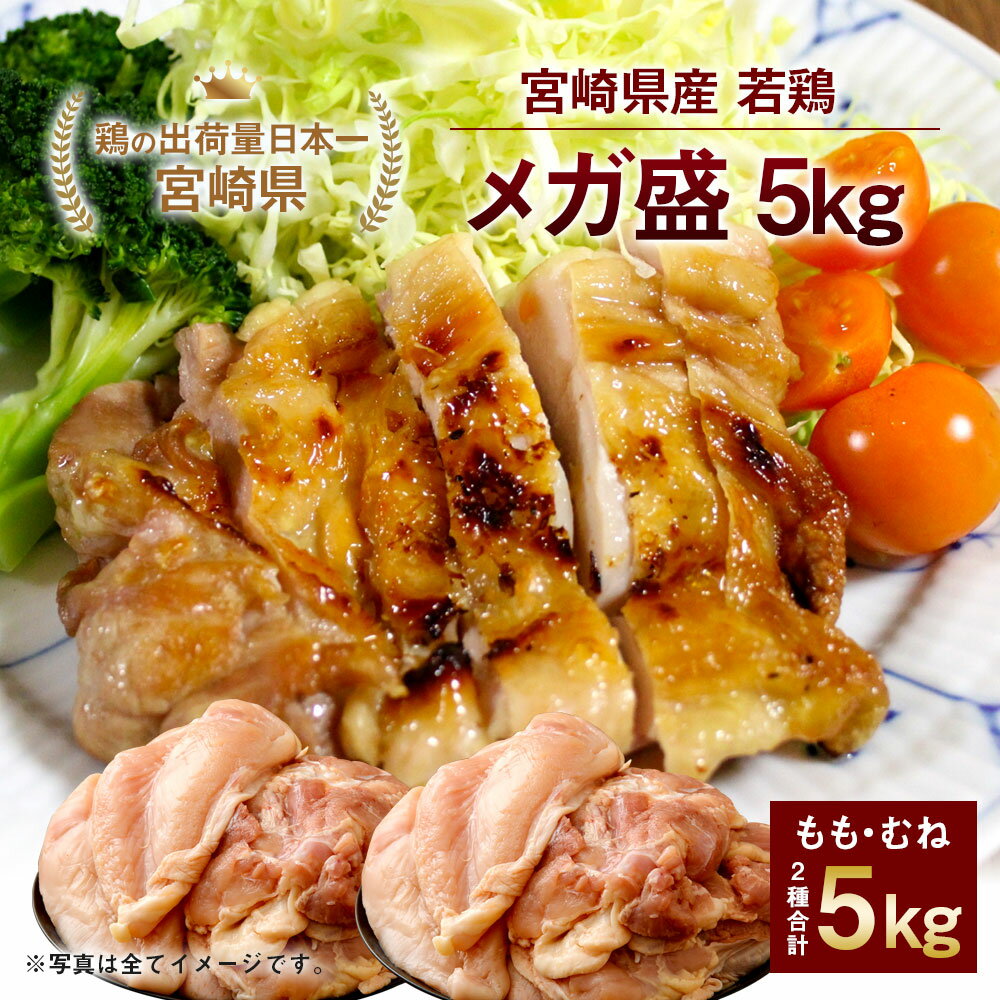 【ふるさと納税】安心！安全！宮崎県産 若鶏 メガ盛5000g！！ モモ肉 むね肉 セット 合計5kg 若鶏 鶏肉 国産 九州産 送料無料が大人気返礼品になっている理由とは　ふるさと納税　人気　返礼品　ランキング