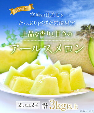 【ふるさと納税】 宮崎県新富町産 アールスメロン 2Lサイズ 2玉入 1箱 1玉あたり1.5kg以上 ※平成31年4月より順次出荷予定 化粧箱入り メロン 九州産 数量限定 送料無料