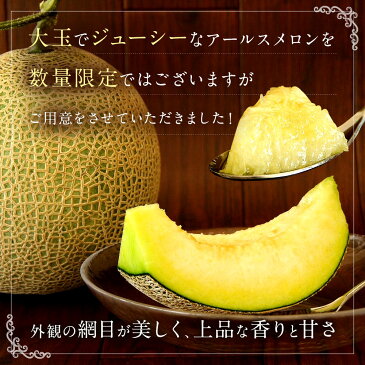 【ふるさと納税】 宮崎県新富町産 アールスメロン 2Lサイズ 2玉入 1箱 1玉あたり1.5kg以上 ※平成31年4月より順次出荷予定 化粧箱入り メロン 九州産 数量限定 送料無料