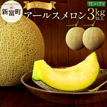 【ふるさと納税】 宮崎県新富町産 アールスメロン 2Lサイズ 2玉入 1箱 1玉あたり1.5kg以上 ※平成31年4月より順次出荷予定 化粧箱入り メロン 九州産 数量限定 送料無料