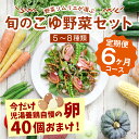 【ふるさと納税】野菜ソムリエが選ぶ 旬のこゆ野菜セット 6ヵ...
