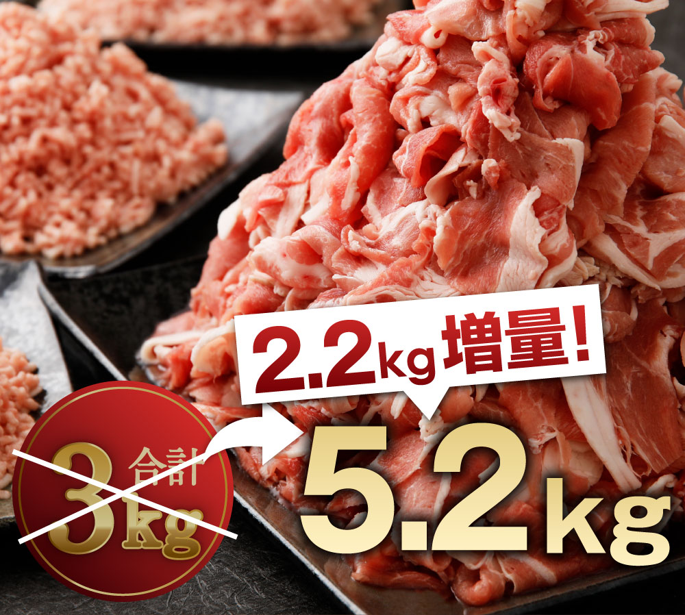 【ふるさと納税】＜2.2増量！＞ 産地盛 豚肉 合計5.2kg 宮崎県産 豚こま切れ 計4kg(500g×8) 国産 ミンチ 計1.2kg （400g×3） セット 豚小間 ひき肉 挽肉 冷凍 送料無料 ※平成31年6月末までに出荷が大人気返礼品になっている理由とは　ふるさと納税　人気　返礼品　ランキング