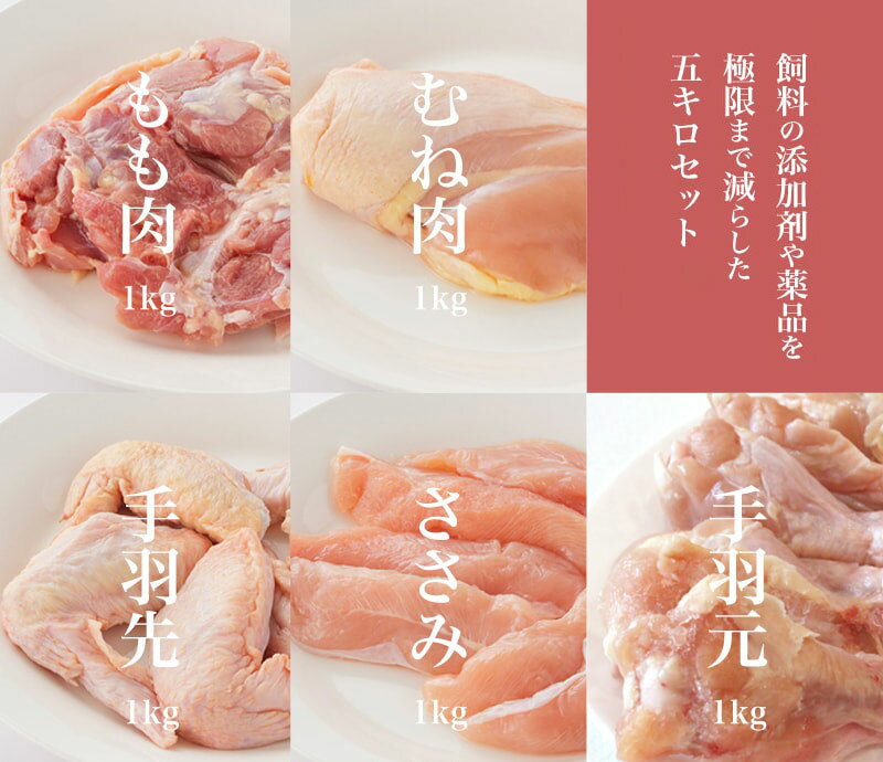 宮崎県産若鳥の全5部位を一つのセットにしました！ それぞれの肉質の違い、歯応え、味の違いをご堪能ください。 「ムネ身、モモ肉、手羽先、手羽元、ささみ」をそれぞれの1kgパックにしてあります。 若鳥のため、肉質も柔らかく美味しく召し上がれます。宮崎の美味しい若鳥をどうぞお召し上がりください。 名称 宮崎県産若鳥まるごと5キロセット 内容量 ムネ身1kg、モモ肉1kg、手羽先1kg、手羽元1kg、ささみ1kg 　 保存方法 冷凍 賞味期限　製造後1年 配送方法 冷凍 販売者 株式会社Nプライド （TEL 0983-41-4160） 加工業者 株式会社　永楽 宮崎県東臼杵郡門川町大字加草419-1 （TEL 0982-63-1063） ・ふるさと納税よくある質問はこちら ・寄附申込みのキャンセル、返礼品の変更・返品はできません。あらかじめご了承ください。宮崎県産若鶏5キロのセット 「寄附金受領証明書」及び「ワンストップ特例申請書」は、入金確認後、注文内容確認画面の【注文者情報】に記載の住所（住民票住所）に2~3週間以内に発送いたします。 なお、これらの書類は、お礼の品とは別でお送りいたしますのでご注意ください。