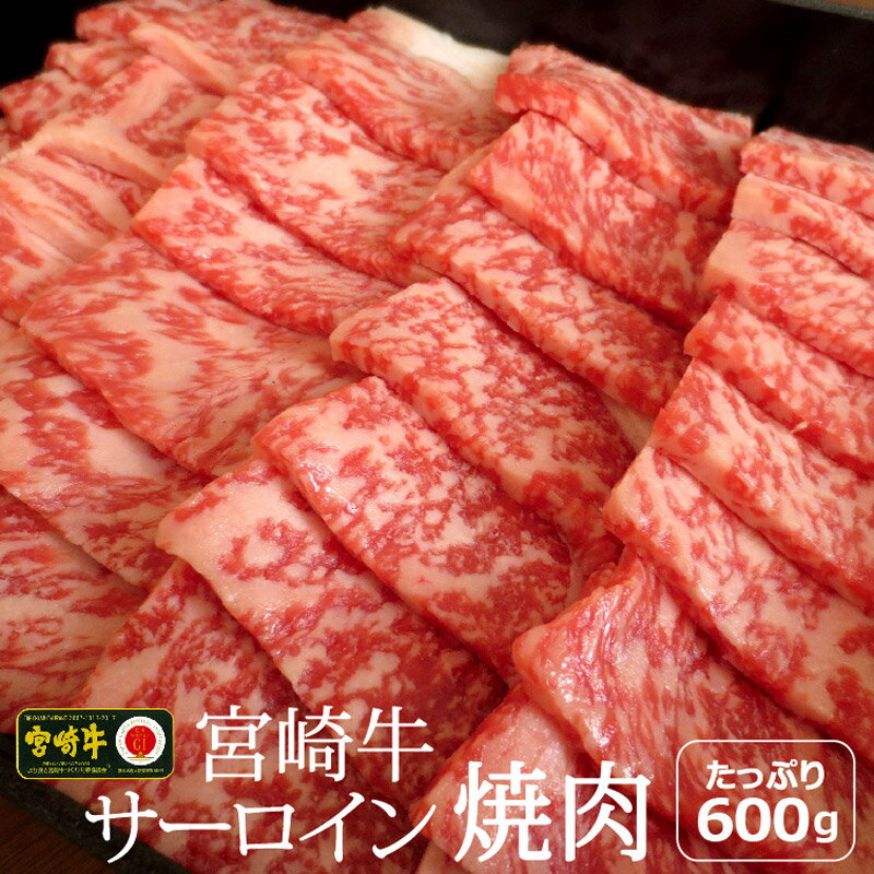 宮崎牛 サーロイン 焼肉 600g 約6～7人前 霜降り bbq 和牛 牛肉 国産 宮崎県産 送料無料