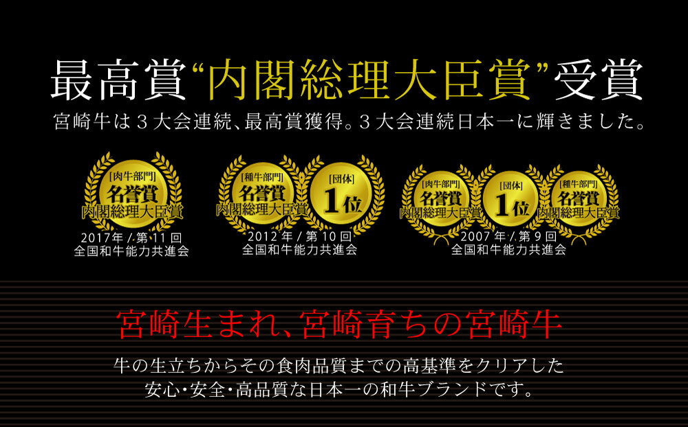 【ふるさと納税】【定期便】宮崎牛ステーキ3ヶ月コース 合計2kg 牛肉 冷凍 内閣総理大臣賞受賞 宮崎県産 九州産 送料無料