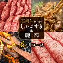 宮崎牛しゃぶすき＆焼肉6ヶ月コース 合計4.2kg 牛肉 冷凍 内閣総理大臣賞受賞 宮崎県産 九州産 送料無料