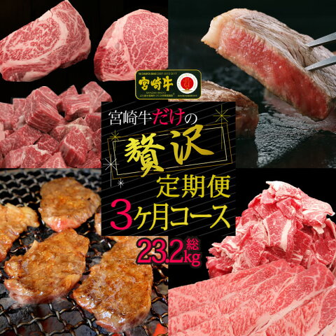 【ふるさと納税】宮崎牛だけの贅沢定期便3ヶ月コース【定期便】 牛肉 ステーキ 焼肉 BBQ スライス しゃぶしゃぶ すき焼き 冷凍 内閣総理大臣賞受賞 宮崎県産 九州産 送料無料