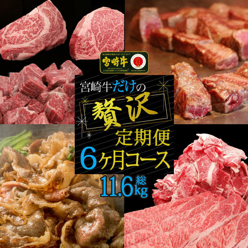 宮崎牛だけの贅沢定期便6ヶ月コース【定期便】 牛肉 ステーキ 焼肉 BBQ スライス しゃぶしゃぶ すき焼き 冷凍 内閣総理大臣賞受賞 宮崎県産 九州産 送料無料