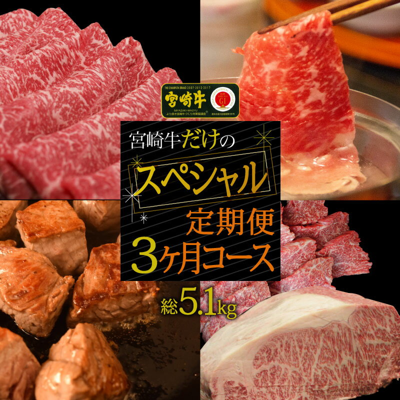 宮崎牛だけのスペシャル定期便3ヶ月コース【定期便】 牛肉 ステーキ 焼肉 BBQ スライス しゃぶしゃぶ すき焼き 冷凍 内閣総理大臣賞受賞 宮崎県産 九州産 送料無料