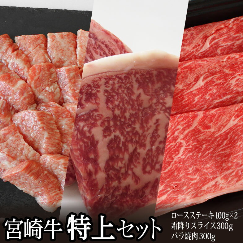 【ふるさと納税】宮崎牛 特上セット 合計800g（ロースステーキ100g×2枚・霜降りスライス300g・牛バラ焼き肉300g） 牛肉 真空 冷凍 国産 送料無料