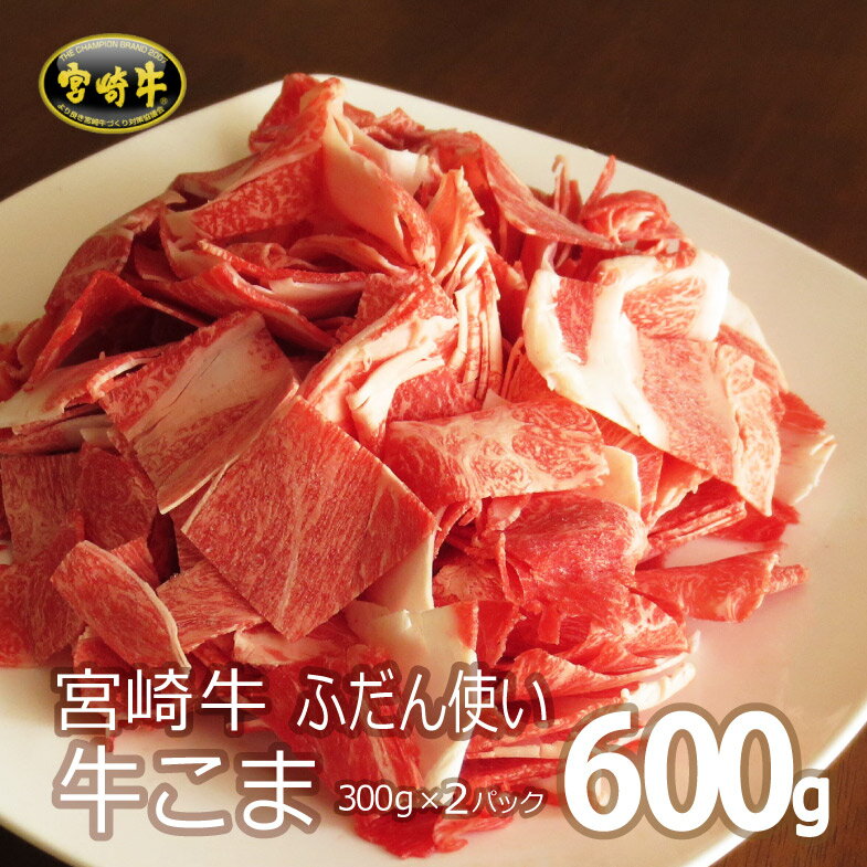 【ふるさと納税】宮崎牛こま 合計600g（300g×2パック）牛肉 A4 小間 普段使い 冷凍 内閣総理大臣賞受賞 宮崎県産 国産 送料無料