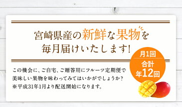 【ふるさと納税】＜予約受付＞プレミアム果物定期便 スペシャルコース 計12回 ピオーネ フルーツ 定期 みかん 完熟マンゴー メロン ぶどう 日向夏 スイカ たまたまきんかん デコポン 栗