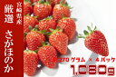 【ふるさと納税】宮崎県産いちご さがほのか 計1,080g ...