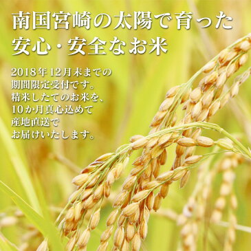 【ふるさと納税】産地直送定期便 宮崎県産 無洗米 ヒノヒカリ コシヒカリ 新米 10kg×10回 計100kg 10ヶ月 数量限定 平成31年1月からスタート 送料無料