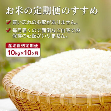 【ふるさと納税】産地直送定期便 宮崎県産 無洗米 ヒノヒカリ コシヒカリ 新米 10kg×10回 計100kg 10ヶ月 数量限定 平成31年1月からスタート 送料無料