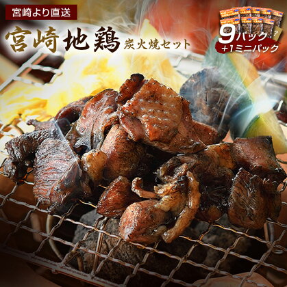 宮崎地鶏 鶏炭火焼きセット(9パック+ミニ1パック) 宮崎 地鶏 若鶏 もも肉 ハラミ なん骨 せせり 真空パック 宮崎直送 冷蔵 送料無料