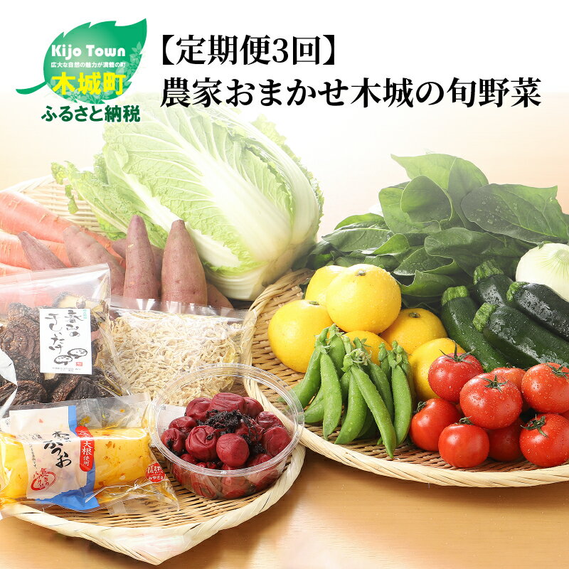 農家おまかせ木城の旬野菜定期便3回 - 産地直送 野菜セット 旬の野菜6〜8品程度 季節の野菜 おまかせ お楽しみ 新鮮 野菜の詰め合わせ 野菜宅配 3回定期便 3ヶ月定期便 例:ほうれん草/レタス/ごぼう/ドレッシングなど 送料無料 [宮崎県木城町]