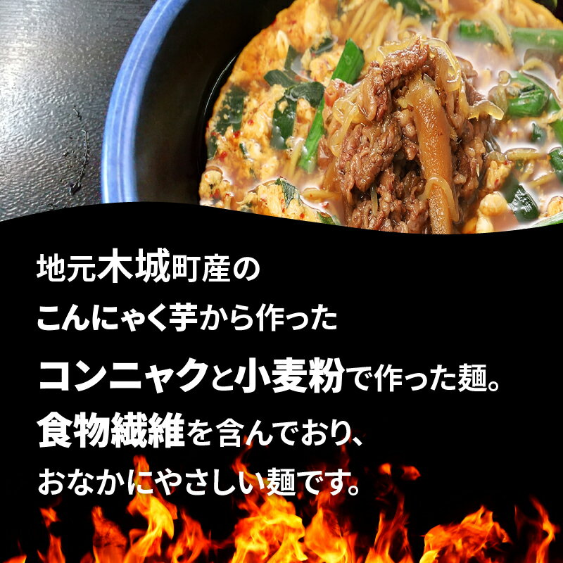 【ふるさと納税】宮崎辛麺木城バージョン - 4人前 おなかにやさしい麺 こんにゃく練り込み麺 辛いけど旨い ご当地グルメ 宮崎名物 ラーメン 牛丼のもと付き 食物繊維 生麺 冷凍 送料無料 K16_0063 【宮崎県木城町】