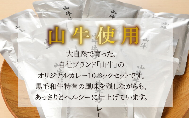 【ふるさと納税】「山牛」のオリジナルカレー10パックセット - 1人前 約200g レトルトカレー レトルト食品 国産牛肉 黒毛和牛 季じょん山牛 簡易包装 パウチ 湯煎調理 常温保存可能 保存食 常備食 キャンプ・レジャーに 送料無料 K16_0012 【宮崎県木城町】