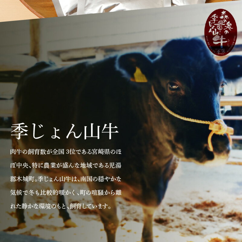 【ふるさと納税】「山牛」のオリジナルカレー10パックセット - 1人前 約200g レトルトカレー レトルト食品 国産牛肉 黒毛和牛 季じょん山牛 簡易包装 パウチ 湯煎調理 常温保存可能 保存食 常備食 キャンプ・レジャーに 送料無料 K16_0012 【宮崎県木城町】