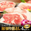 【ふるさと納税】宮崎県産豚切落し4kg(500g×8パック) - 国産豚肉 切り落とし 小分け 冷凍 1パック500g 生姜焼き/肉野菜炒め お肉 ストック食材 万能食材 常備食 ポーク 送料無料 【宮崎県木城町】