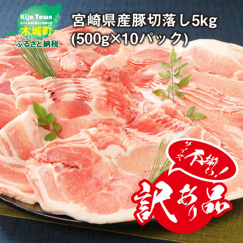 【訳あり】宮崎県産豚切落し5kg(500g×10パック)