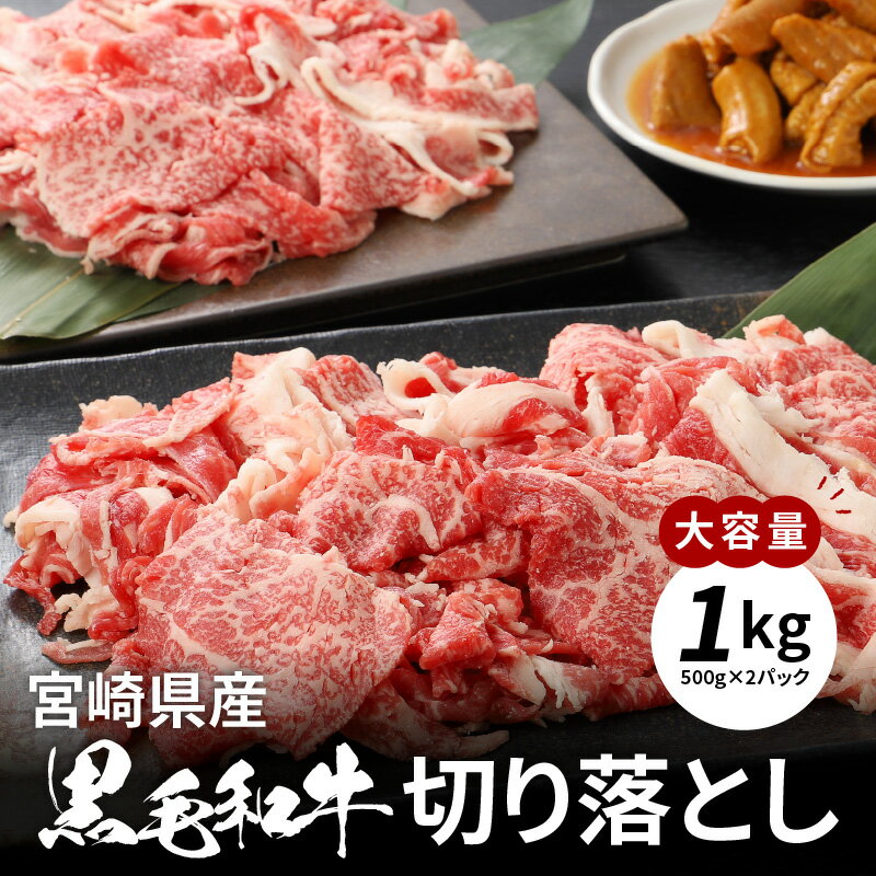 宮崎県木城町の画像3
