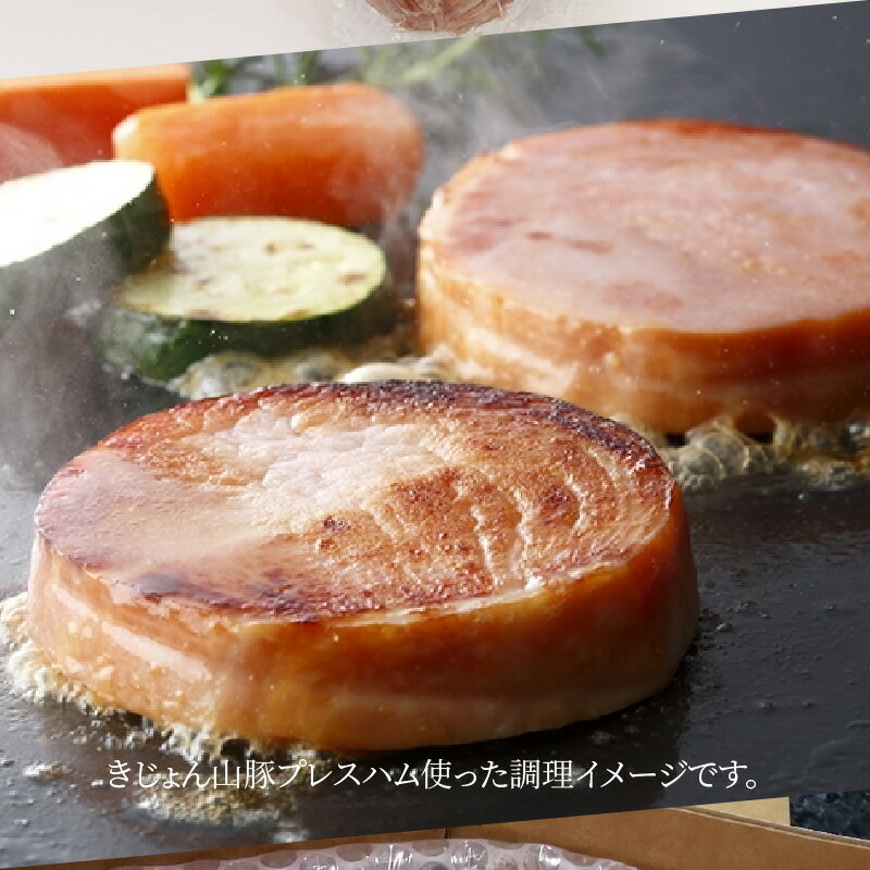 宮崎県木城町の画像3