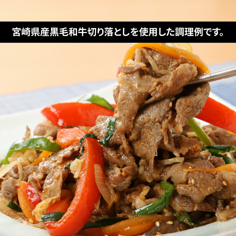 宮崎県木城町の画像2